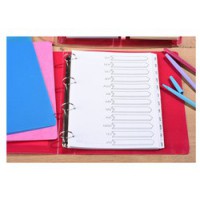 AVERY Intercalaires Mylar, mensuel, 12 touches, carte, A4