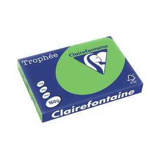 Clairefontaine Papier universel Trophée A3, vert nature 