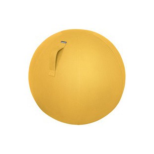 LEITZ Ballon d'assise Ergo Cosy, diamètre: 650 mm, bleu
