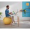 LEITZ Ballon d'assise Ergo Cosy, diamètre: 650 mm, bleu
