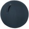 LEITZ Ballon d'assise Ergo Cosy, diamètre: 650 mm, bleu
