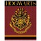 Harry Potter Hogwarts premium coral blanket