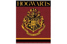 Harry Potter Hogwarts premium coral blanket