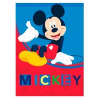 Disney Mickey polar blanket