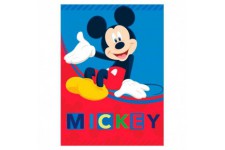 Disney Mickey polar blanket