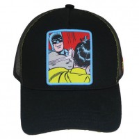 DC Comics Robin Batman adult cap