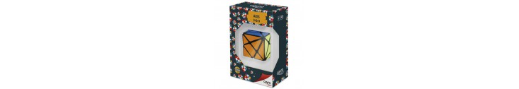 JEUX SCIENTIFIQUES