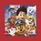 Paw Patrol Frame me Up puzzle 60pcs