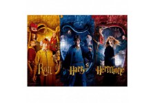 Harry Potter Ron, Harry, Hermione puzzle 1000pz