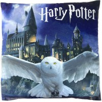Harry Potter pyjama keeper cushion