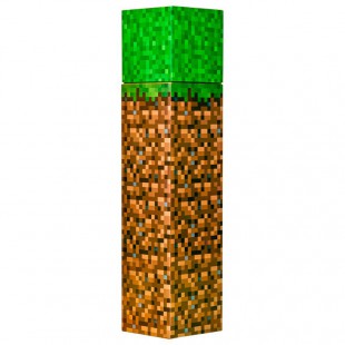 Minecraft bottle
