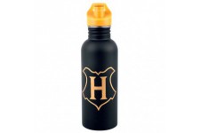Harry Potter Hogwarts bottle