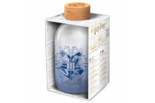 Harry Potter glass bottle 620ml