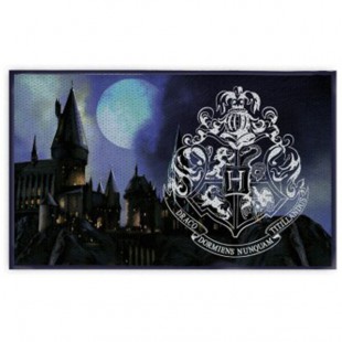 Harry Potter Hogwarts carpet