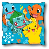 Pokemon cushion