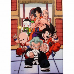 Dragon Ball Tournament magnet