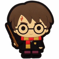 Harry Potter Harry magne