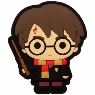 Harry Potter Harry magne