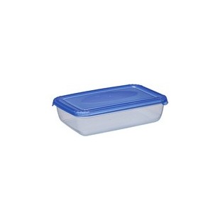 plast team Boîte de congélation Polar, 0,45 litre, gris