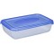 plast team Boîte de congélation Polar, 0,45 litre, gris
