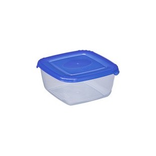 plast team Boîte de congélation Polar, 0,46 litre, gris