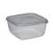 plast team Boîte de congélation Polar, 0,46 litre, gris