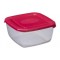 plast team Boîte de congélation Polar, 0,46 litre, gris