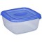plast team Boîte de congélation Polar, 0,46 litre, gris