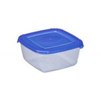 plast team Boîte de congélation Polar, 1,5 litre, bleu