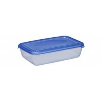 plast team Boîte de congélation Polar, 1,9 litre, bleu