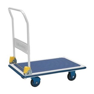 Wonday Chariot à plate-forme Professionnel Plus, 300 kg