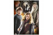 Harry Potter Characters pack 3 puzzles 3x1000pzs