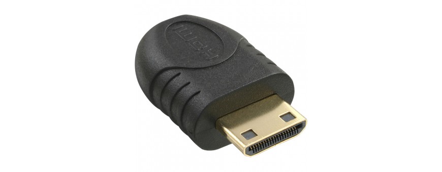 HDMI vers HDMI/DVI/ Mini HDMI