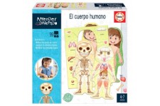Spanish The Human Body