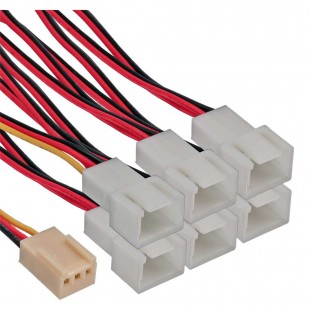 Câble adaptateur de ventilateur InLine® Câble en Y Molex 3 broches femelle à 6x Molex mâle 3 broches
