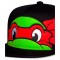 Teenage Mutant Ninja Turtles cap