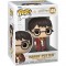 POP figure Harry Potter 20Th Harry Potter