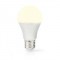 Ampoule LED E27 | A60 | 8.5 W | 806 lm | 2700 K | Blanc Chaud | Givré | 1 pièces