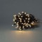 LED Décorative SmartLife | Corde | Wi-Fi | Blanc Chaud | 50 LED's | 5.00 m | Android™ / IOS