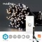 LED Décorative SmartLife | Corde | Wi-Fi | Blanc chaud à frais | 100 LED's | 10.0 m | Android™ / IOS