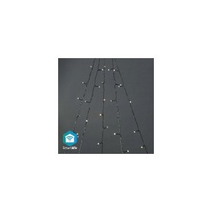 LED Décorative SmartLife | Arbre | Wi-Fi | Blanc chaud à frais | 200 LED's | 5 x 4 m | Android™ / IOS