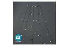 LED Décorative SmartLife | Arbre | Wi-Fi | Blanc chaud à frais | 200 LED's | 5 x 4 m | Android™ / IOS