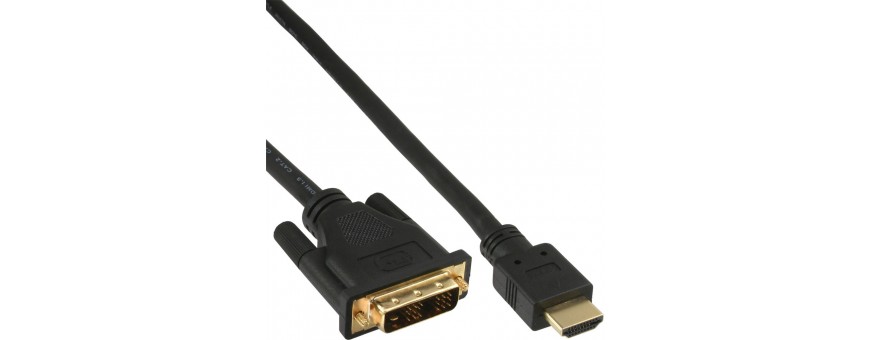 HDMI vers DVI