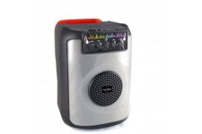 INOVALLEY FIRE01 - Enceinte Karaoké - Bluetooth V5.0 - 40 W