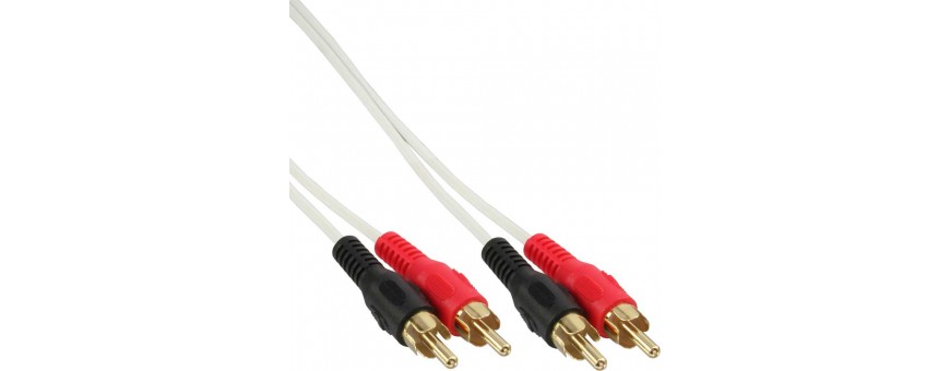 2x RCA Audio standard