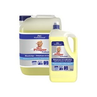 P&G Professional Mr Proper Nettoyant multi-usages 5l, citron