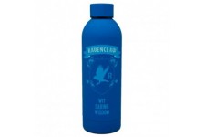 Harry Potter Ravenclaw stainless steel bottle 700ml