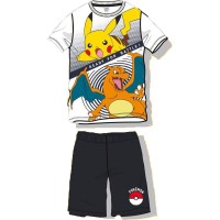 Lot de 8 : Pokemon adult outfit