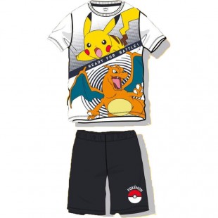 Lot de 8 : Pokemon adult outfit
