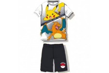 Lot de 8 : Pokemon adult outfit